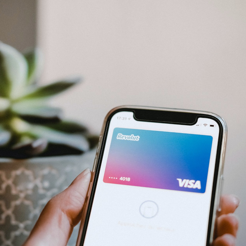 A person holding a smartphone displaying a Visa card for digital payment.